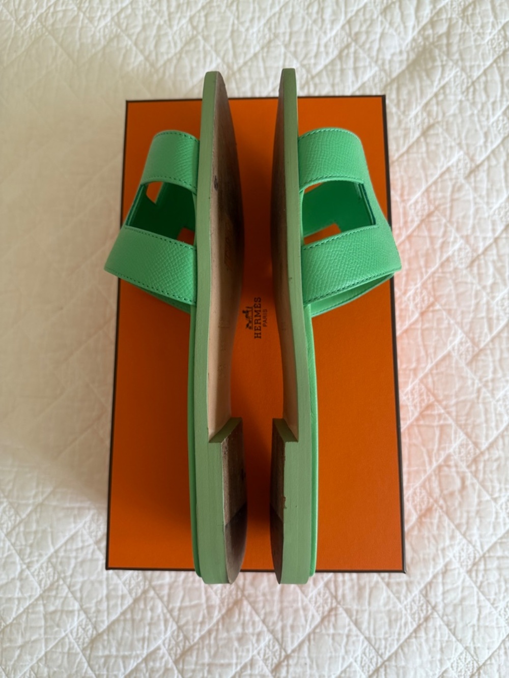 Hermes Orans - Picture 5 of 10